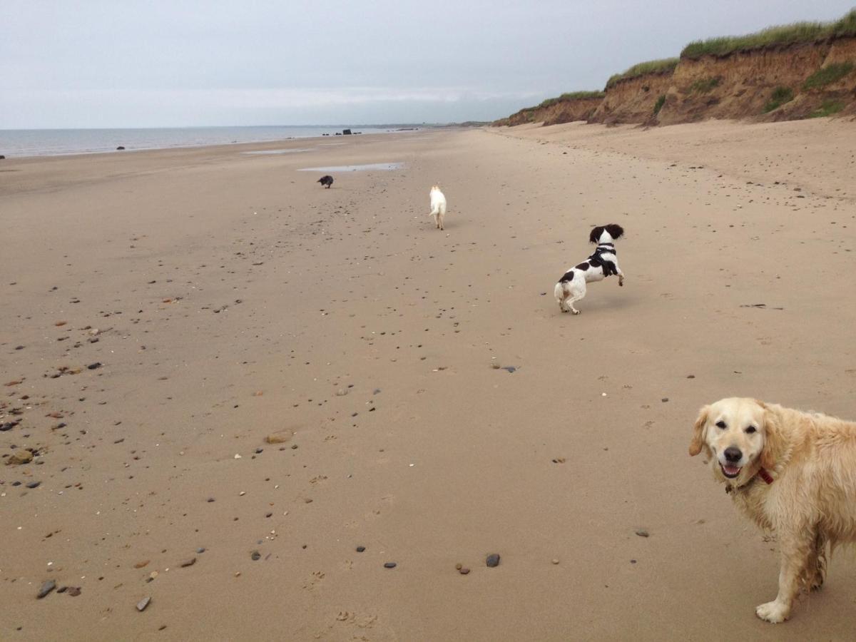 Luxury Dog Friendly Cottage Sleeps 4 Бринлингтон Экстерьер фото